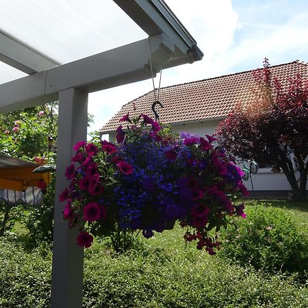Ferienwohnung Relax Ilsenburg Buitenkant foto