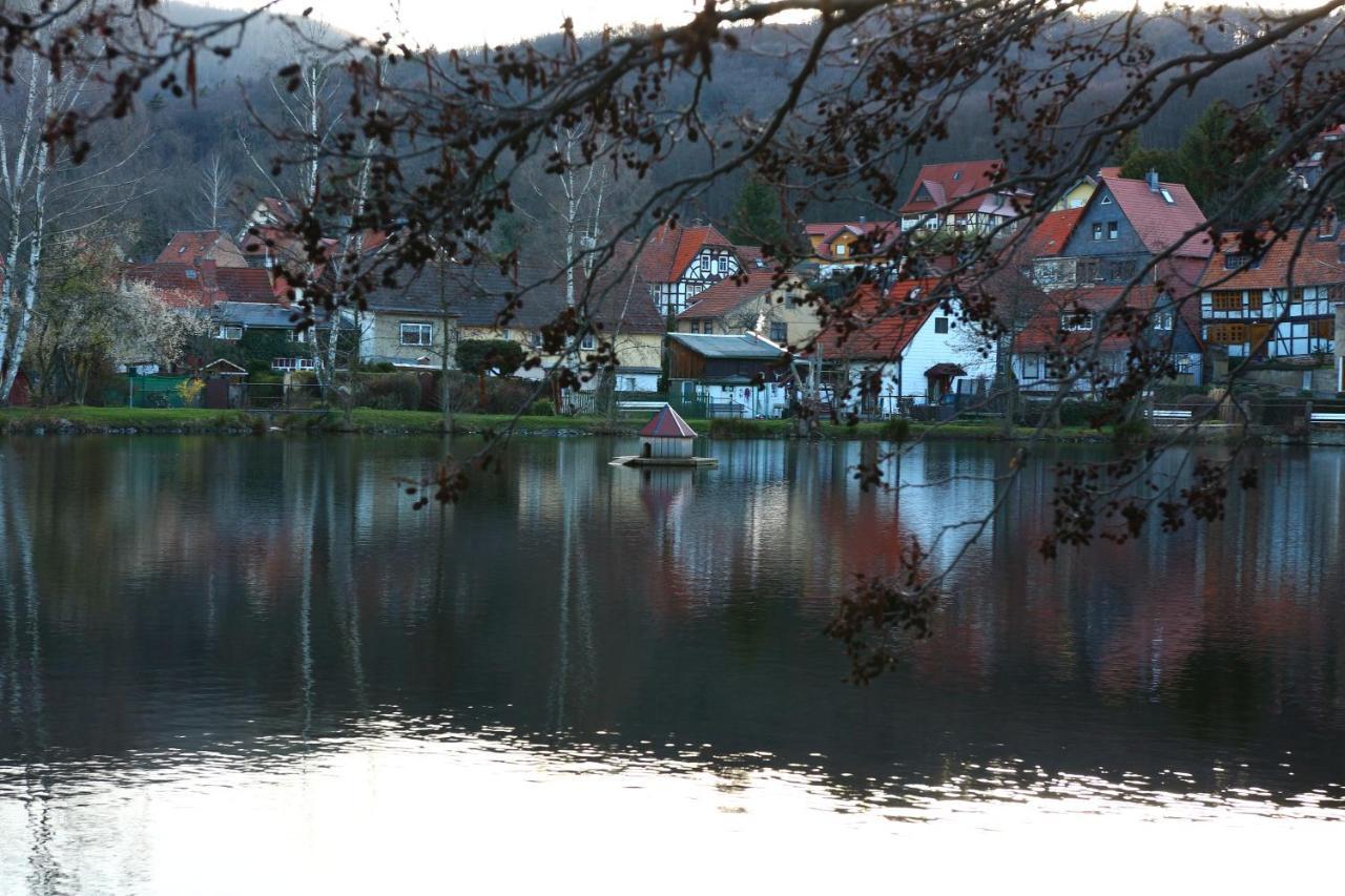 Ferienwohnung Relax Ilsenburg Buitenkant foto