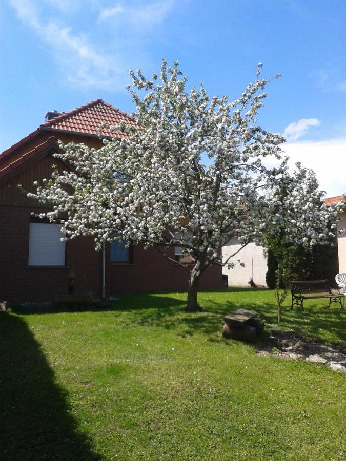Ferienwohnung Relax Ilsenburg Buitenkant foto