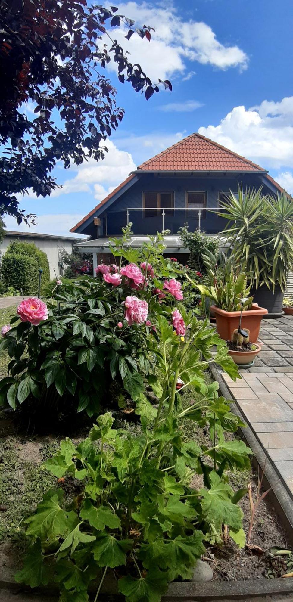 Ferienwohnung Relax Ilsenburg Buitenkant foto