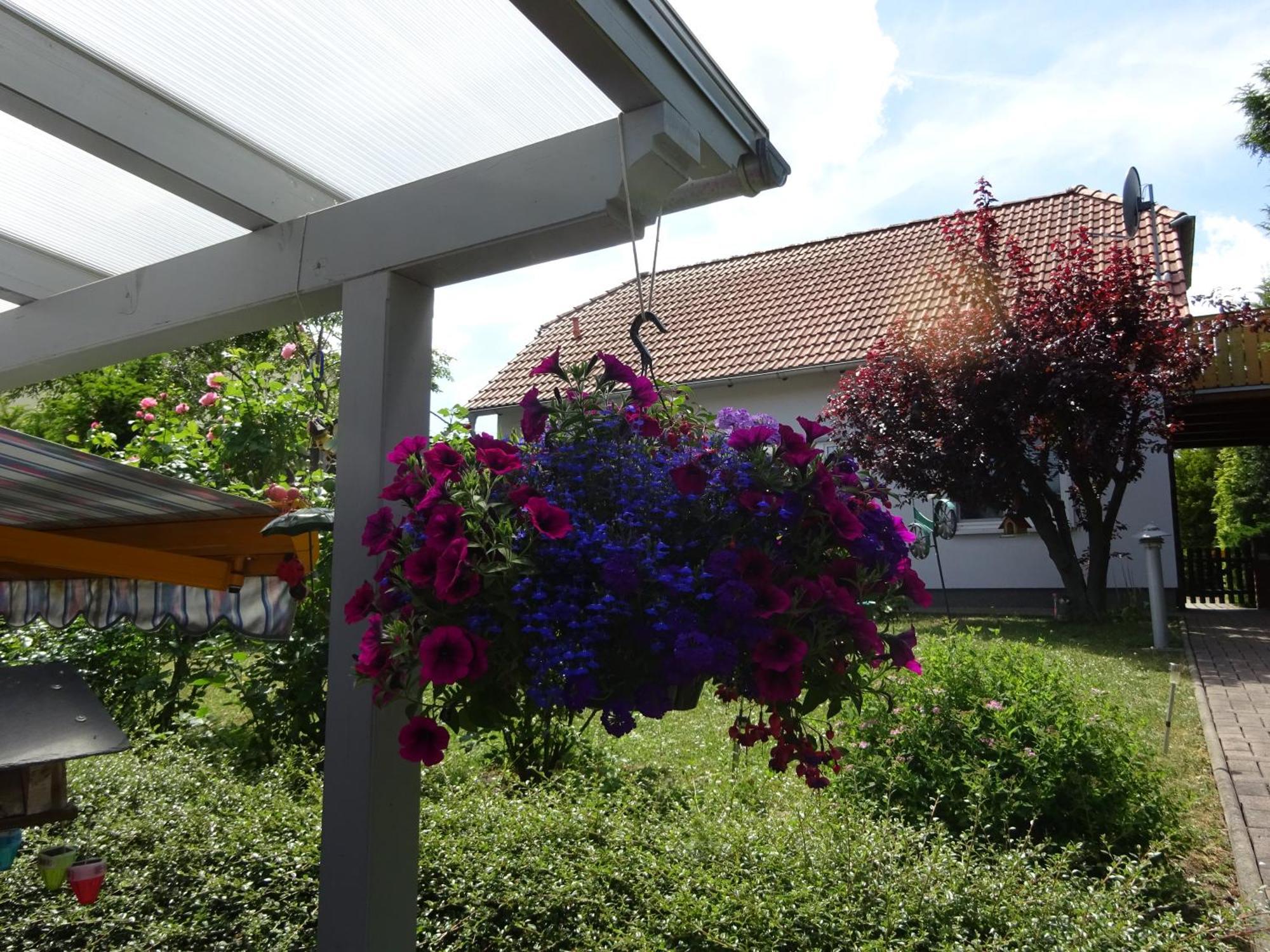 Ferienwohnung Relax Ilsenburg Buitenkant foto